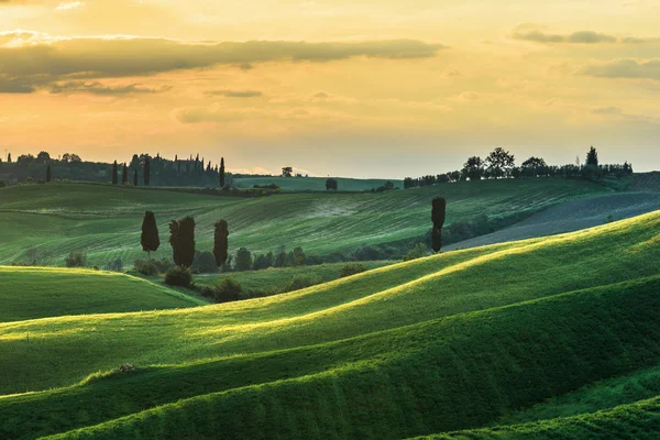 Musim semi hijau dan matahari terbenam di padang rumput Tuscany . — Stok Foto
