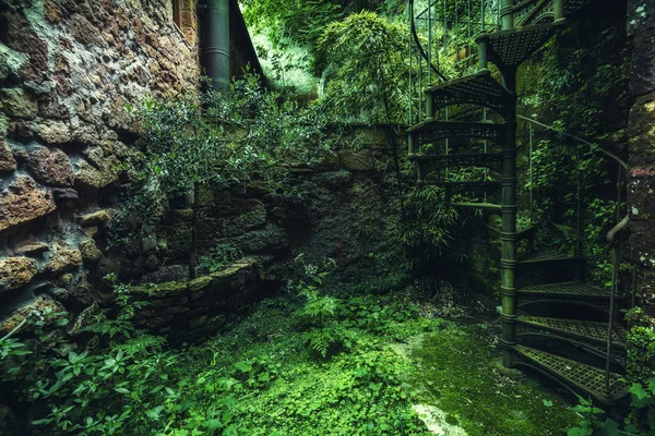 Yeşil köşe eski Toskana kasaba bir tepe üzerinde terk.. — Stok fotoğraf