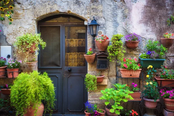 Spring streets of the old Tuscan town. Colorful flowers bloom an — Stock Photo, Image