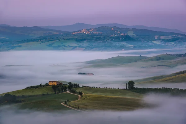 Incredibile scenario di campagna idilliaca con dolci colline velate — Foto Stock