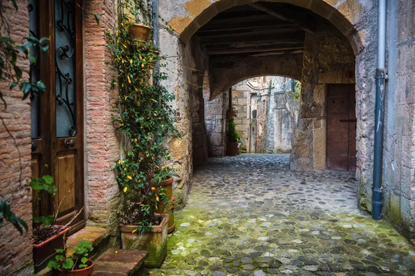 Calles de primavera de la antigua ciudad toscana. Flores de colores florecen y —  Fotos de Stock