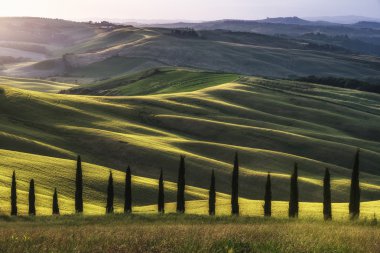 Güneşli Tuscan manzara yeşil alanları ve renk dolu.