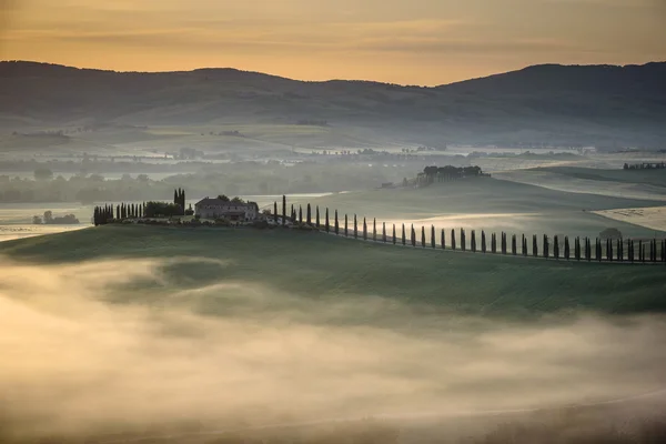 Soleggiato paesaggio toscano con campi verdi e pieni di colore . — Foto Stock