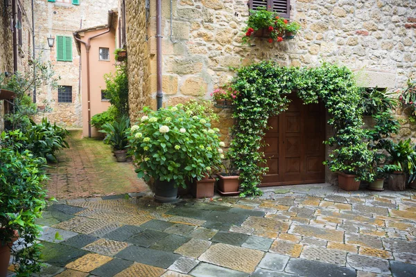 Blumige Straßen an einem regnerischen Frühlingstag in einem kleinen magischen Dorf — Stockfoto