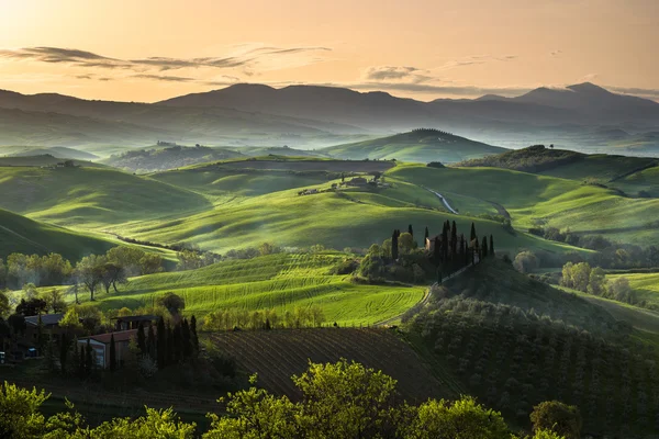 Yeşil arazi bahar mevsiminde.