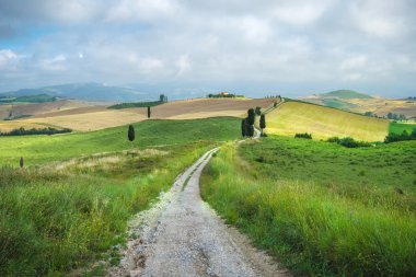 Toskana hasat sırasında Traktörler tarafından basmış yol.