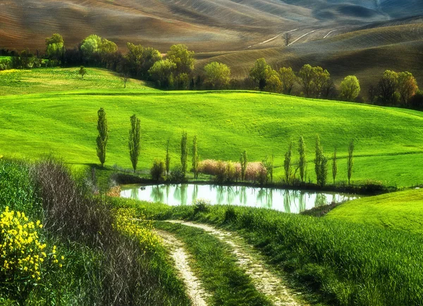 Campos de riego del lago en primavera paisaje de Toscana . — Foto de Stock