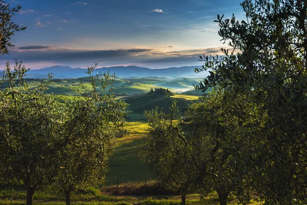 Toskana tepeler ve bahar manzara. — Stok fotoğraf