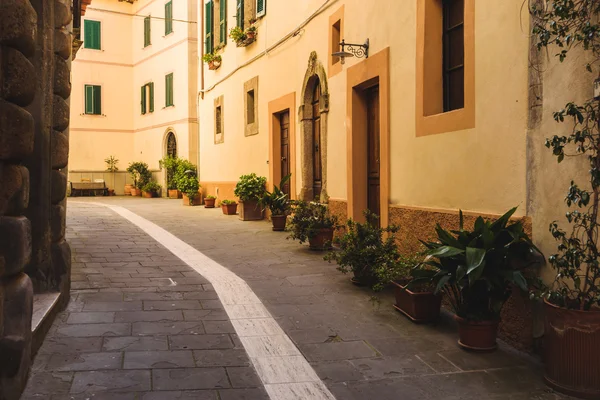 Esquinas verdes de la antigua ciudad toscana abandonada en una colina . —  Fotos de Stock