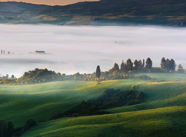 Wunderbarer Nebel auf Feldern und zwischen den Bäumen auf Hügeln. — Stockfoto