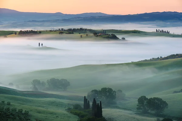 Чудовий туман на полях і між деревами на пагорбах . — стокове фото