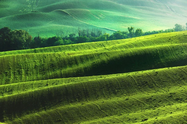 Tipico paesaggio toscano in primavera nebbioso . — Foto Stock