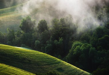 yeşil tepeler inanılmaz sisli gün