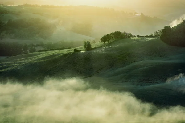 Amazing foggy day on green hills — Stock Photo, Image