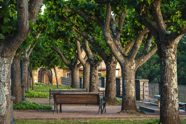 Bench in het park tussen de bomen. — Stockfoto