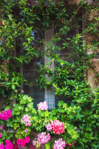 Квітка заповнені вулиць міста старовинними італійськими в Тоскані. — стокове фото