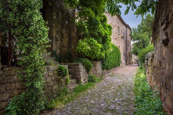 Toskana bölgesindeki eski İtalyanca şehrin sokaklarında çiçek dolu. — Stok fotoğraf