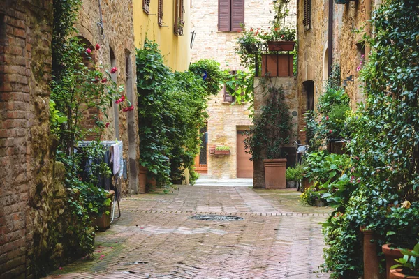 Flowery streets on a rainy spring day in a small magical village — Stock Photo, Image