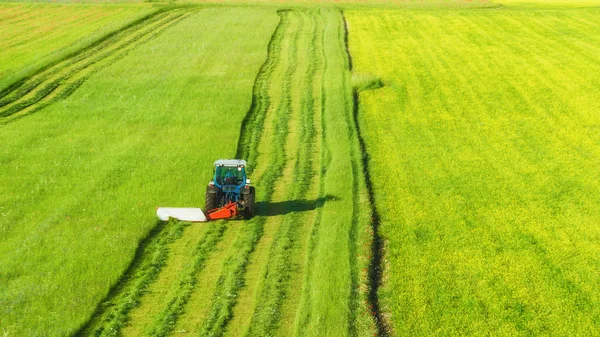 Traktor mäht grüne Wiese — Stockfoto