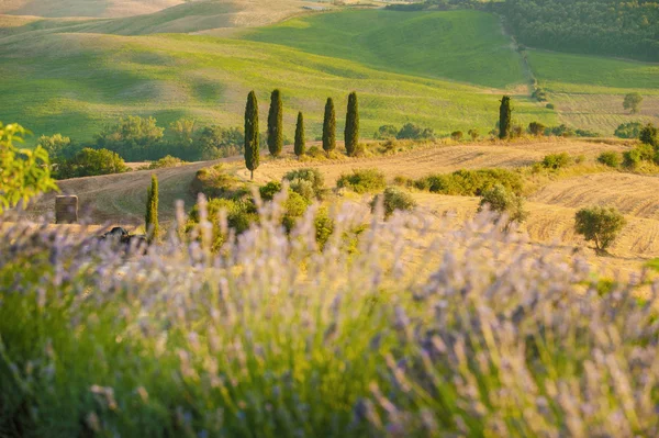 Чудова і повного спокою краєвид Тоскана, Італія — стокове фото