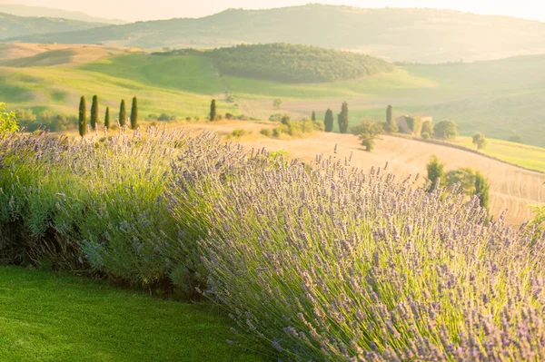 Lindo e cheio de serenidade paisagem da Toscana, Itália — Fotografia de Stock
