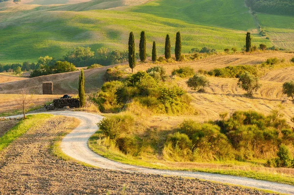 Splendido e pieno di serenità paesaggio della Toscana, Italia — Foto Stock