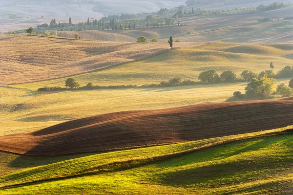 Piękny wschód słońca nad val d'orcia w Toskanii, park naturalny — Zdjęcie stockowe