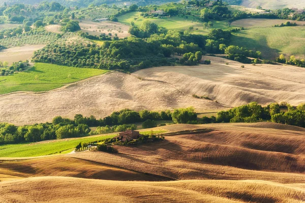 Ländliche Landschaft der grünen Toskana, Italien — Stockfoto