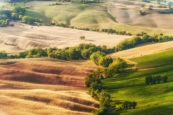 緑のトスカーナ、イタリアの田園風景 — ストック写真