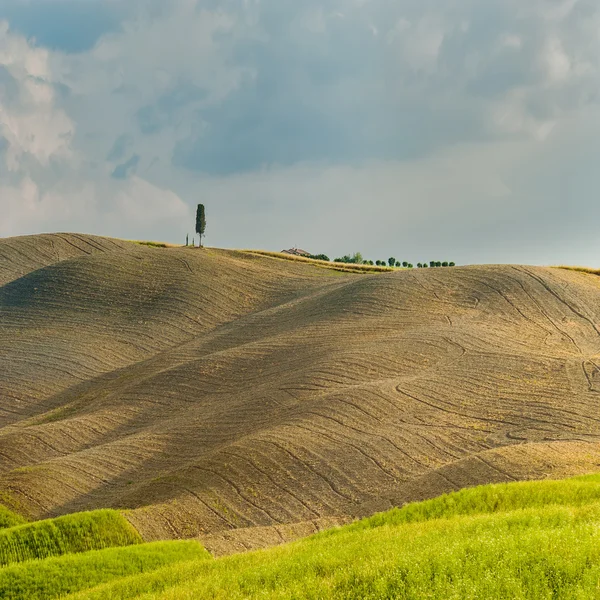 Campos e paz ao sol quente da Toscana, Itália — Fotografia de Stock