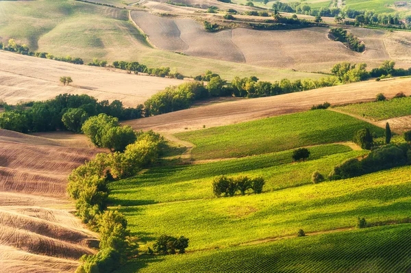 Paisagem rural da Toscana verde, Itália — Fotografia de Stock