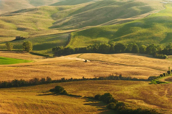 Country view in the Tuscany landscape from Pienza, Italy — Stock Photo, Image