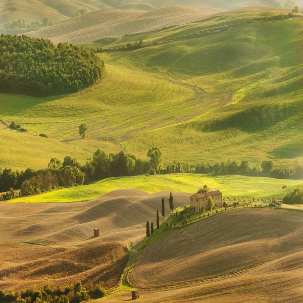 イタリア ピエンツァからトスカーナの風景の中のカントリー ビュー — ストック写真