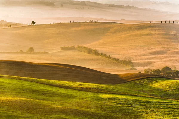 Paysage rural de la Toscane par une matinée brumeuse et ensoleillée — Photo