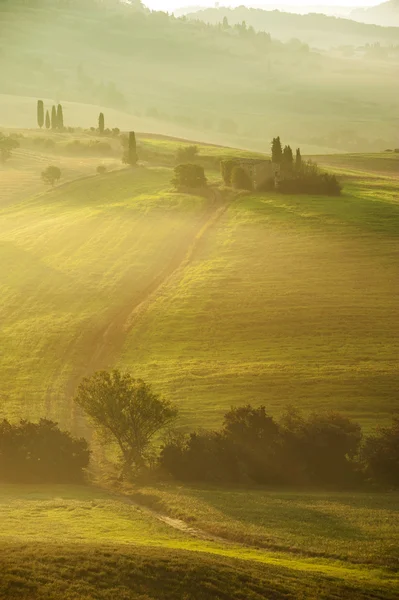 Paisaje rural de Toscana en una nebulosa mañana soleada —  Fotos de Stock