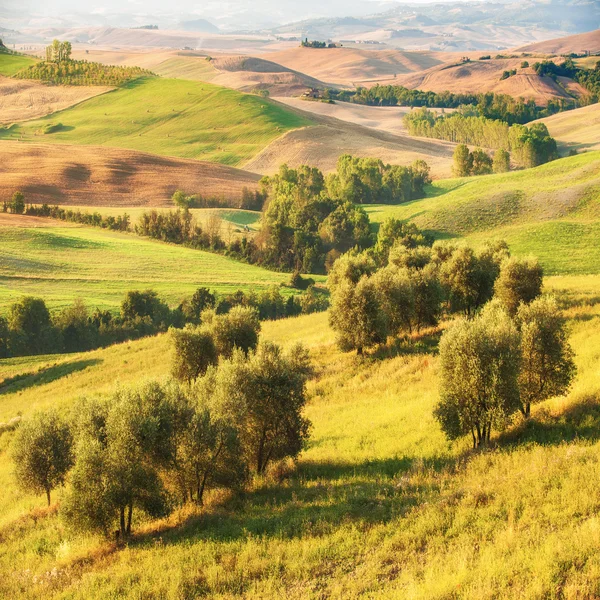 Hermoso amanecer sobre el Val d 'Orcia en Toscana, parque natural —  Fotos de Stock