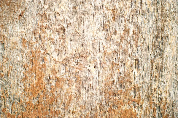 Viejos patrones de la naturaleza en madera, textura — Foto de Stock