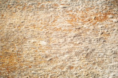 Wood, doku doğa eski kalıpları