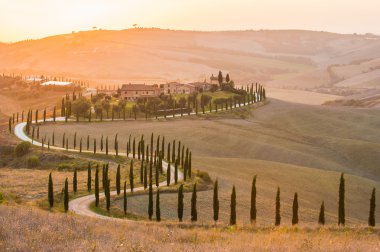 yaz güneşi dalgalı ve yaldızlı Toskana alanında