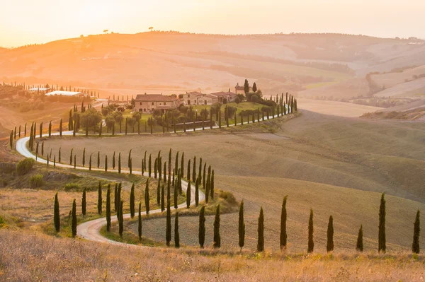 Campi ondulati e dorati della Toscana sotto il sole estivo — Foto Stock