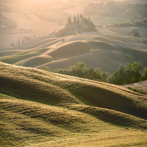 Rural landscape in the light of the sunset — Stock Photo, Image