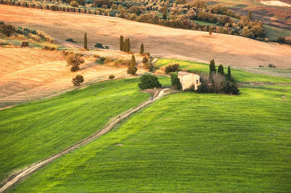 Paesaggio rurale alla luce del tramonto — Foto Stock