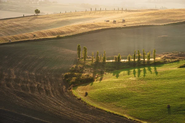 Beautiful light of the morning sun in the Tuscan landscape — Stock Photo, Image
