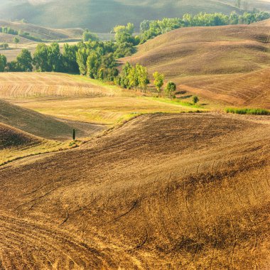 güzel Toskana peyzaj sabah güneş ışığı