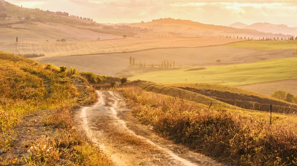 Indah cahaya matahari pagi di lanskap Tuscan — Stok Foto