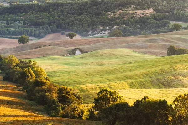 Hermosa luz del sol de la mañana en el paisaje toscano —  Fotos de Stock