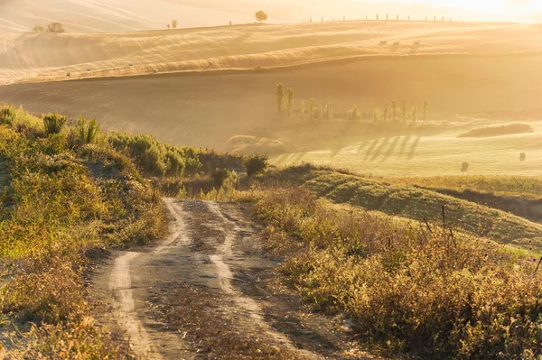 Vackert ljus av morgonsolen i det toskanska landskapet — Stockfoto