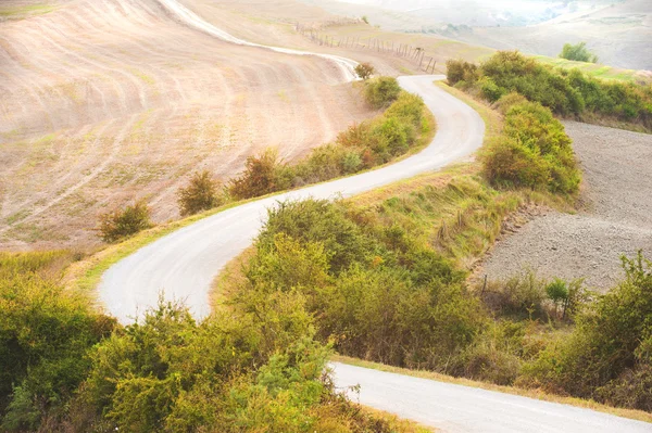 Tarlalar ve ağaçlar arasında kavisli yol — Stok fotoğraf