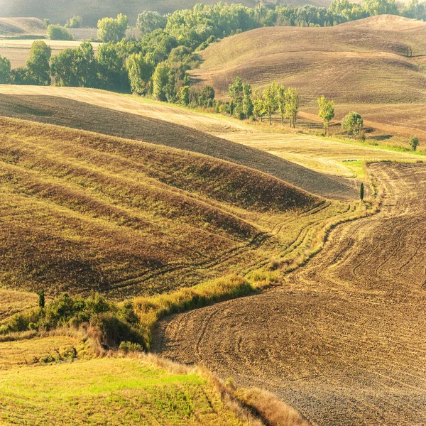 Krásné světlo ranní slunce v toskánské krajině — Stock fotografie