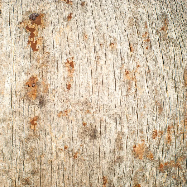 Vieux motifs de la nature sur bois, texture — Photo